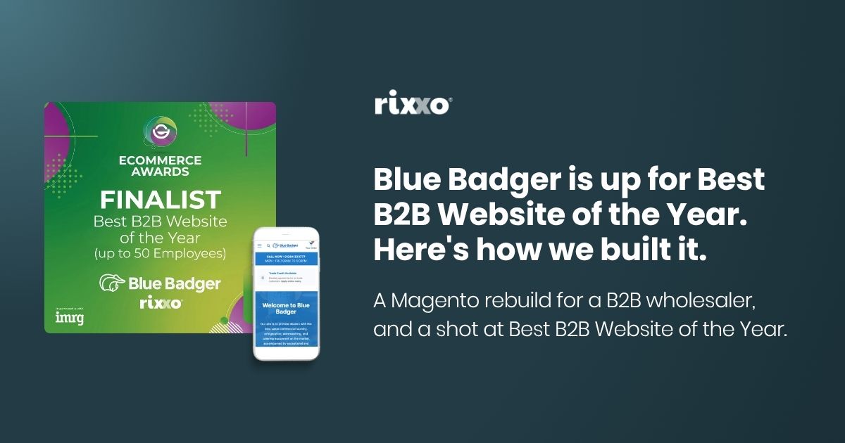 blue-badger-best-b2b-website-2026